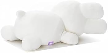 21-7xMNxctL._AC_UF350,