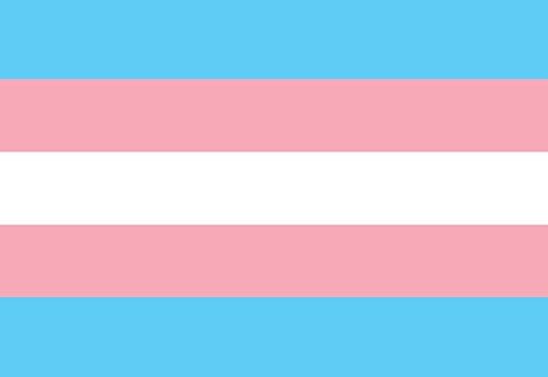 Amazon Com Transgender Pride Flag Car Magnet 4x6 All Weather Magnet Transgender Pride Flag Kitchen Dining