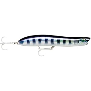 Rapala – Leurre de Pêche MaxRap Walk’N Roll – Matériel de Pêche avec Construction ABS – Leurre Pêche en Mer Flottant…