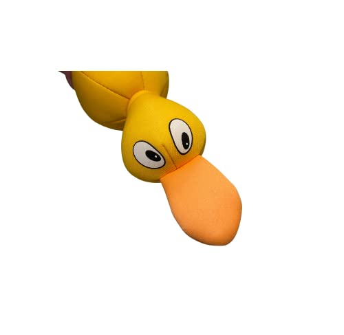 Billipets Floating Dog Toys Duck. Durable and Tough Colorful Neoprene Dog Toy. Ideal for Water War, Interactive Game of Tug and Fetch, Size: 30cm - Image 4