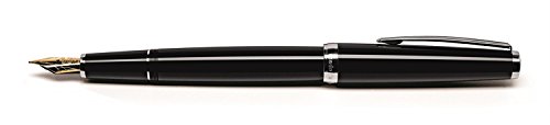 Cleo Skribent Penna stilografica classica palladio, colore nero, 14 carati, pennino dorato: extra fine (EF)