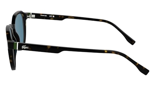 Lacoste Men's Sunglasses L6052S - Havana with Solid Petrol Lens3