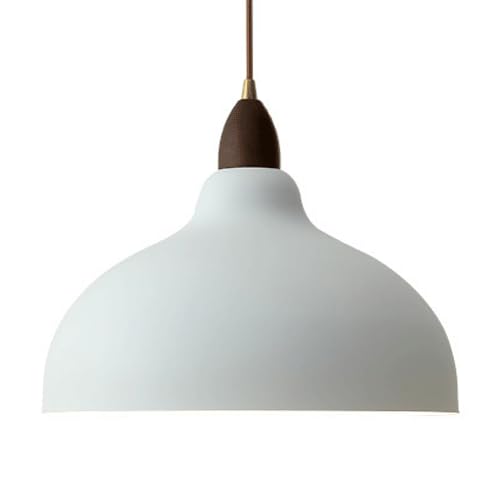 Lustre de plafond en métal noir noble, suspension nordique minimaliste à tête unique E27