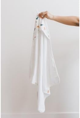 Organic Hooded Baby Towel - Dino Print