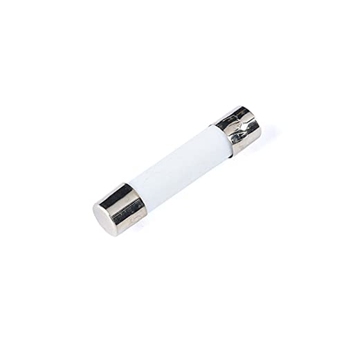 Fusible coup lent 6x30mm en céramique contre les surcharges 250V