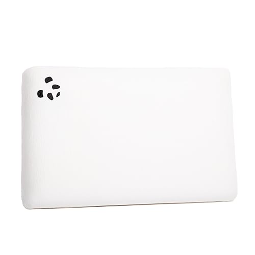 Panda London Oreiller en mousse à mémoire de forme en bambou – Soutien orthopédique, housse en bambou, essai de 30 nuits
