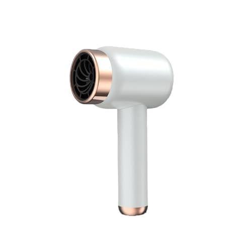 ZVD Phon Senza Fili | Asciugacapelli Professionale Senza Fili | Asciugacapelli con Batteria Ricaricabile USB a 3 Velocità, Phon Senza Fili, Asciugacapellis Portatili Per Donne Vacanze Pa (Bianco)