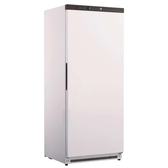 Iceshop Armoire réfrigérée positive ventilée 600 L