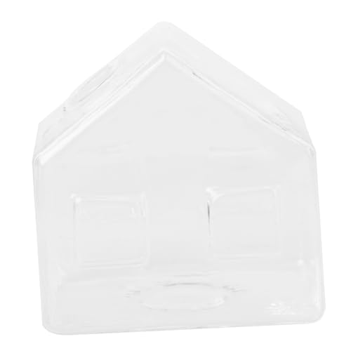 Florero hidropónico transparente de cristal para raíces y esquejes 2