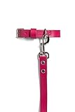 PAWPAW Pet Supplies Set X Large Pink
