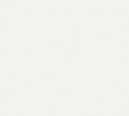 Papier peint intissé recouvrable blanc A.S. Création 393012 grand format