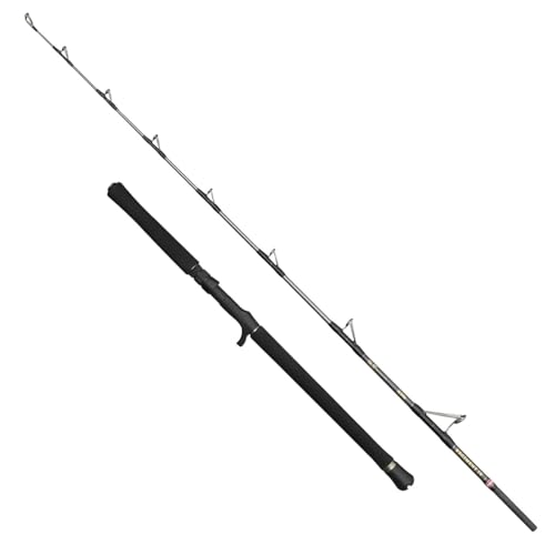 PENN Canne à pêche Regiment IV Jig Cast, pour la pêche en Eau salée très légère et Polyvalente, Argent, 1.84m, Canne à pêche Rapide et ambidextre