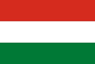 Large Flag Tapacarí Province | Provincia de Tapacarí en Bolivia | landscape flag | 1.35m² | 14.5sqft | 90x150cm | 3x5ft - long lasting outdoor flag