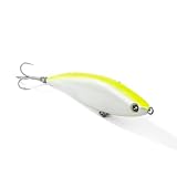 Seaspin Janas 107 – Esca Artificiale per la Pesca a Spinning, Pencil Bait Lipless Affondante 107 mm 27 g – Nuoto scodinzolante, Armatura Passante – Per Predatori Marini (GLWG)