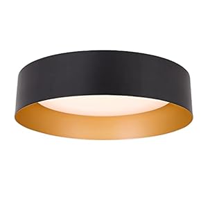 Bargeni Flush Mount Ceiling Light,12.5 inch LED Ceiling Light Fixture,Matte Black with Gold Inside,3000K/Warm White/18W(100w Equiv.),Dimmable Outdoor Lighting Fixtures Ceiling for Bedroom and Hallway