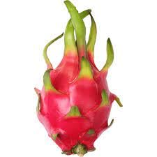Dragon fruit live plant hybrid 1kg fruit (Pack of 2) (B0CSPCVTR2) Amazon Price History, Amazon Price Tracker