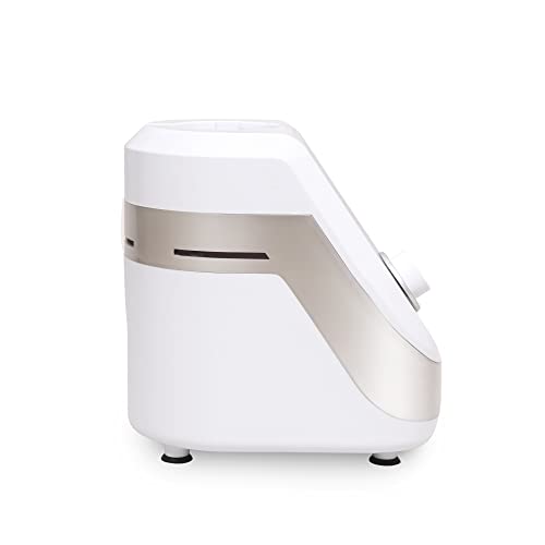 Blaaze 110V Powerful 800W Mixer Grinder W/ 3 Stainless Steel Jars & Blades Perfect For Dry & Wet Fine Grinding – Dosa Batters, Indian Curry Spices Coconut Chutney Grinding Mixing (White Matte Silver) #TOP5