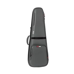 MAXIMUM PROTECTION FOR ELECTRIC GUITARS – Rigid shell and plush interior keep your instrument safe from impacts, scratches, and daily wear. ICON SERIES DESIGN IN MODERN GRAY – Sleek gray finish with ergonomic handle for a professional look and comfor...