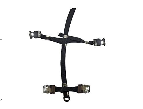 Harnais perroquet élastique pour promener votre Conure de soleil en liberté - 5