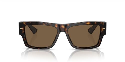 Dolce & Gabbana Sunglasses DG 4451 502/73 Havana Dark Brown2
