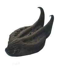 Bat Head Roots - Devil Pod - Evil Pod - 10 Pieces - for Good Health Wealth & Happiness