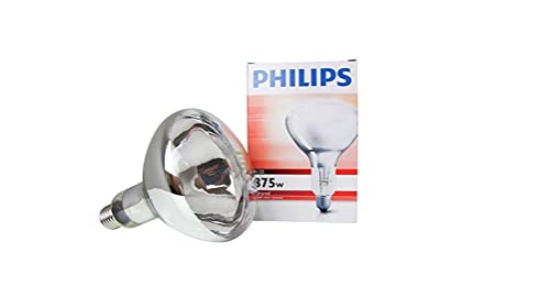 Philips R125 IR 375-Watts E27 Incandescent White Heating Lamp Bulb Hard Glass Explosion Proof Infrared Heating Lamp Eco-Friendly for Animal, Bathroom, Food Bulb, Pack of 1
