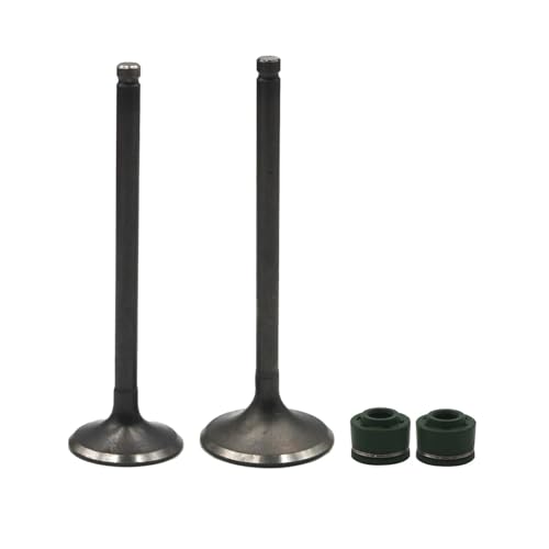 Sellos de aceite de vástago para CRF230F y CRF150F motor de motocross