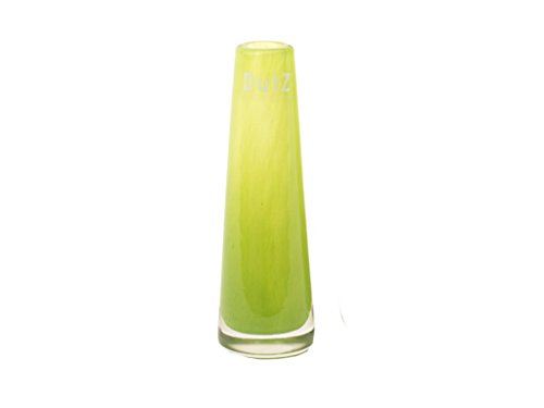 Dutz schmale/schlanke Glasvase SOLIFLEUR D5 H15 Lime/Limette/grün Glas ...