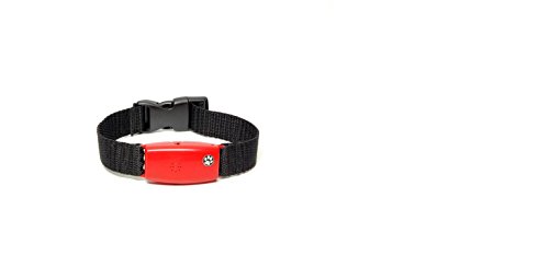 home depot bark collar