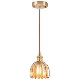 🌷【 Large Gamme d'applications 】: Cette suspension offre non seulement un excellent éclairage, mais peut également être utilisée comme élément de décoration intérieure pour embellir votre espace. Son design classique d'inspiration vintage s'harmonise avec divers styles de décoration et met en valeur le caractère unique des espaces commerciaux tels que les restaurants, cafés, pubs, studios et boutiques, ainsi que des espaces résidentiels tels que les chambres, salons, bureaux, salles à manger, cuisines, îlots de cuisine, balcons et couloirs.