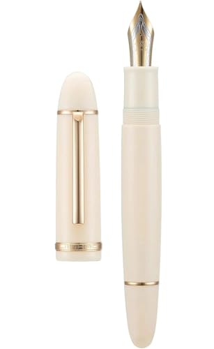 Stylo-plume idée cadeau élégant pour fournitures de bureau et amateurs de belle écriture F