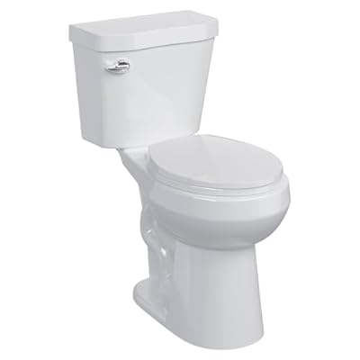 Two-Piece Toilet for Bathroom, Toilet with Comfort ADA Height 19", Round Soft Close Seat, Powerful Flush