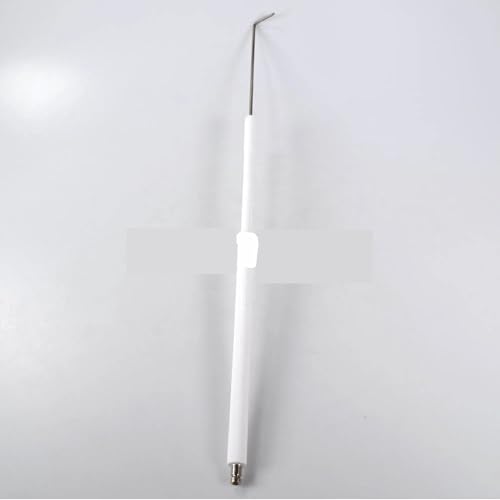 Electrodo de ionización RS70 con aislamiento cerámico de alta densidad 2