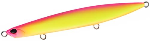 2025年】サーフフラットフィッシュおすすめルアー 【初心者必見】