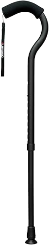 フジホーム フラミンゴＮ 伸縮 サテンブラック [適応身長：約146～176cm] (B09GF61LRD) Amazon価格推移・価格追跡