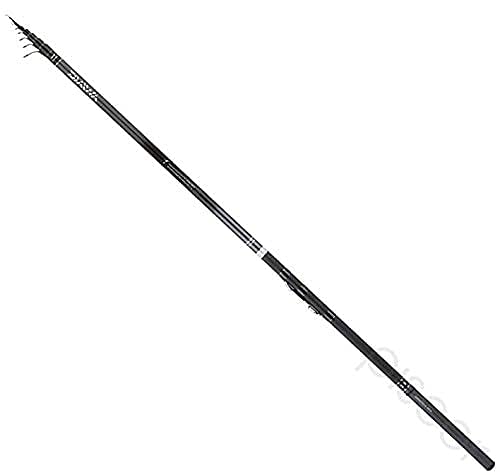 Shizuka 3000 Teleskoprute 3m Carbon - Perfekt Für Meer, Fluss & See