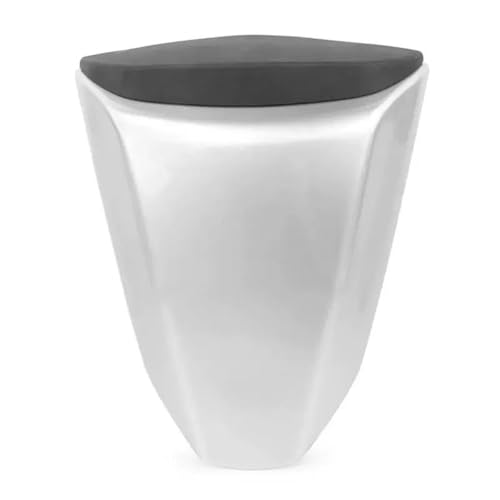 Capot de siège passager pour ZX10R 2008 accessoire carénage argenté
