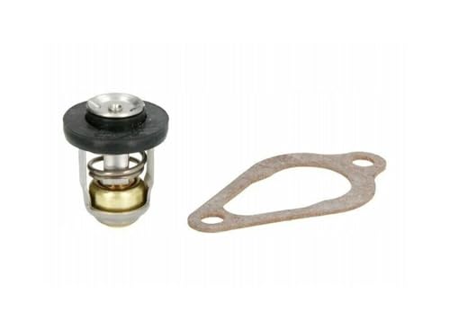 Kit thermostat et joint pour entretien de moteur hors-bord 4 CV 5 CV 6 CV avant hivernage
