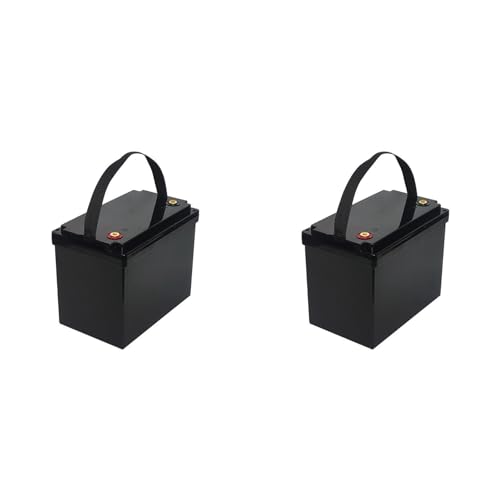 Boîtier de Rangement 12V Batterie LiFePO4 100Ah Boite Vide pour Système Solaire