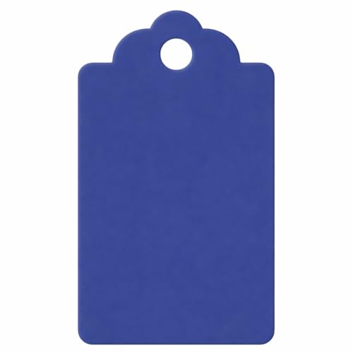 Image of CVANU 300pcs Premium Color Tag Blank Hanging with Pre-Punched Hole Tags for DIY Crafts, Gift Wrapping, Labelling & Writable Decorative Tags for All Occasions (2.85in X 1.7in) Blue