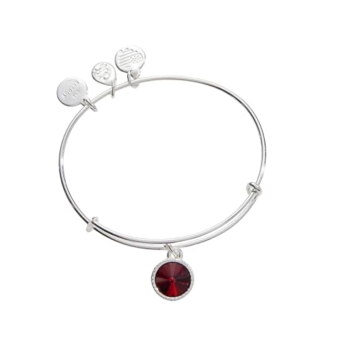 Alex & Ani bracelet