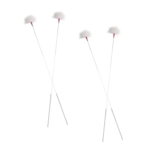 Gatuida 4pcs Removal Stick Multi-Purpose Ear Cleaning Tools Portable Pickers for Home Use Random Color