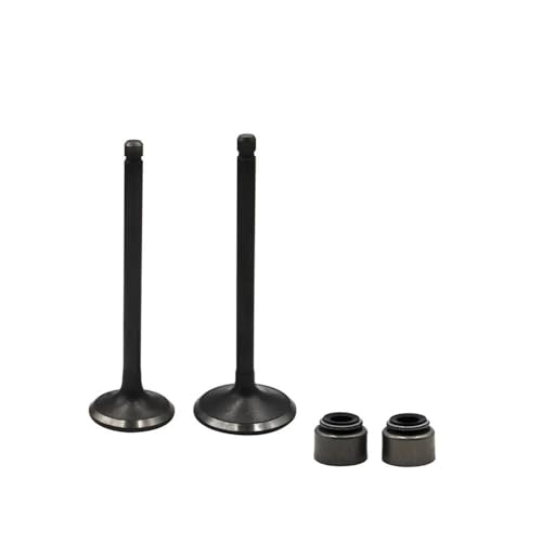 Kit joints d'étanchéité et tige moteur pour Yamaha YFM250 YFB250 et YTM200