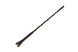 ACDelco 13393770 GM Original Equipment Radio Antenna