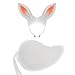 Halloween Rabbits Costume Animal Ear Hairband, Plush Tail, Rabbits Costume Accessories for Girl Halloween Cosplay Fashion White