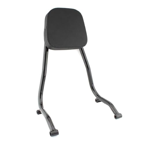Dosseret de moto R18 pour éliminer la fatigue du passager avec support cargo