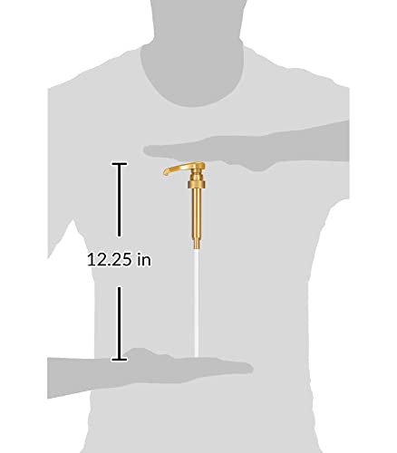 Coffee Syrup, Passion Fruit Flavored Syrup for Drinks, Pump Included, 25.4 Fl Oz / 750 ml