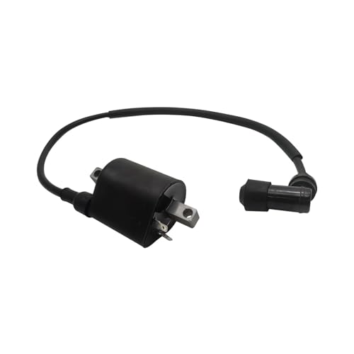 Bobina de encendido Linhai para solucionar tirones y fallos en tu Quad 22012 5