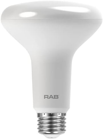 RAB Lighting BR30-7.5-830-DIM Outdoor, Image