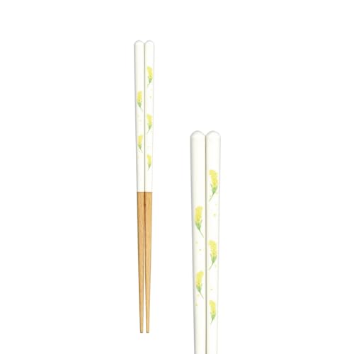 cX Fleur t[  23cm ~U  H@Ή ׂ~߉H ܂݂₷ ׂȂ   ؐ { ~ q VR  킢 fUC ₷ Mtg v[g Lb` H